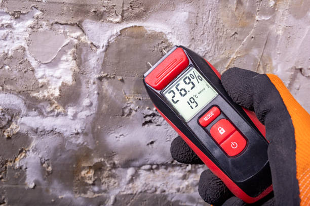 Best Toxic Mold Removal  in Alexandria, LA