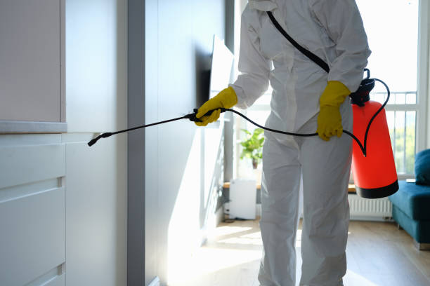  Alexandria, LA Mold Removal Pros
