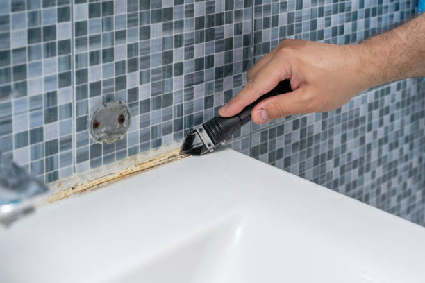 Best Same-Day Mold Removal  in Alexandria, LA